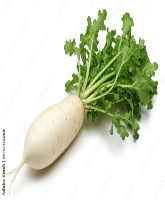 Green Capsicum (Shimla Mirch)